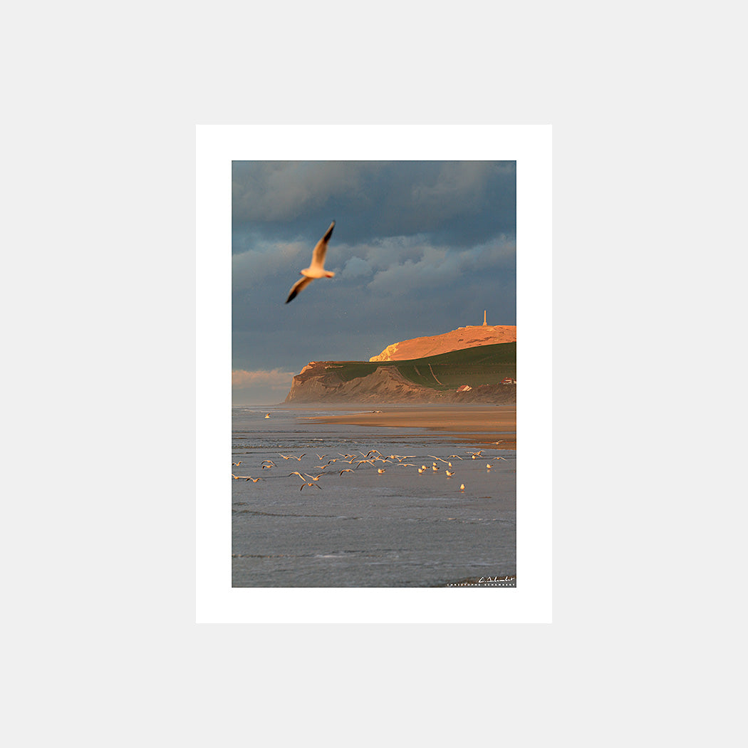 Poster photo 1556 Envol de mouettes devant le Cap Blanc-Nez