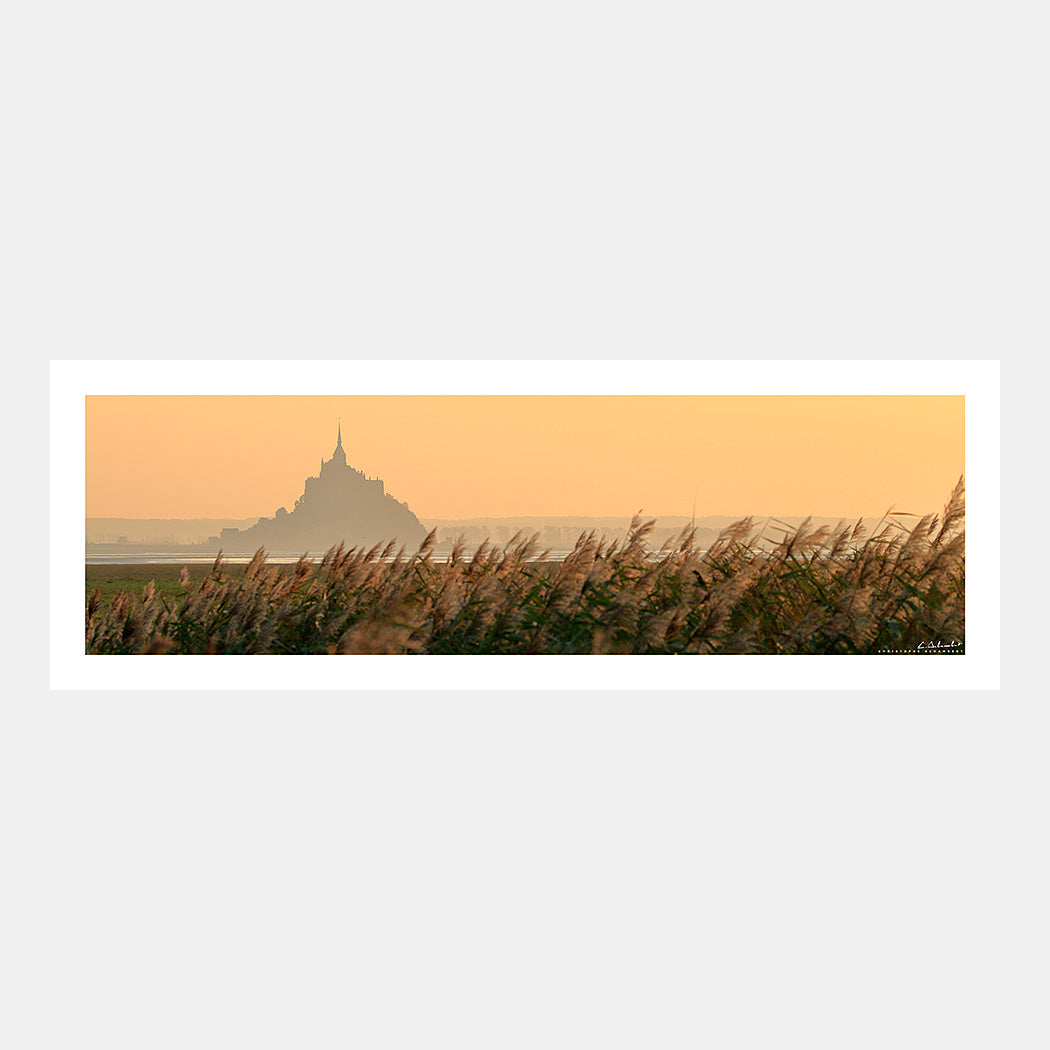 Photographie panoramique de la silhouette du Mont-Saint-Michel dans la brume orangée au couchant derrière des roseaux, Cotentin, Manche, Normandie, France.