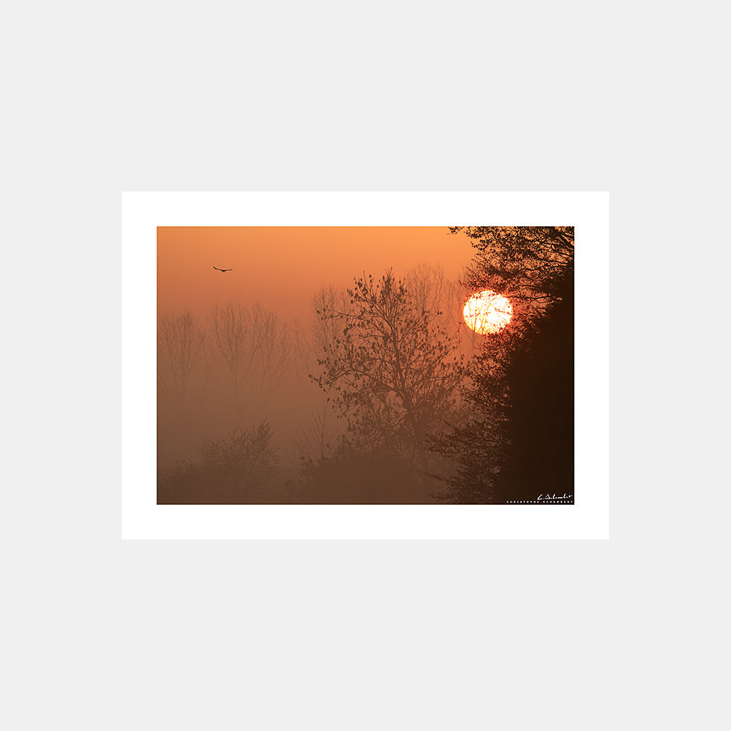 Poster photo 2205 Aube sur la campagne en Artois Pas-de-Calais