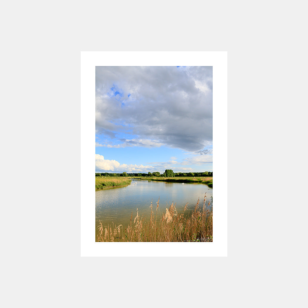 Poster photo 1584 Etangs avec cygnes en baie de Somme