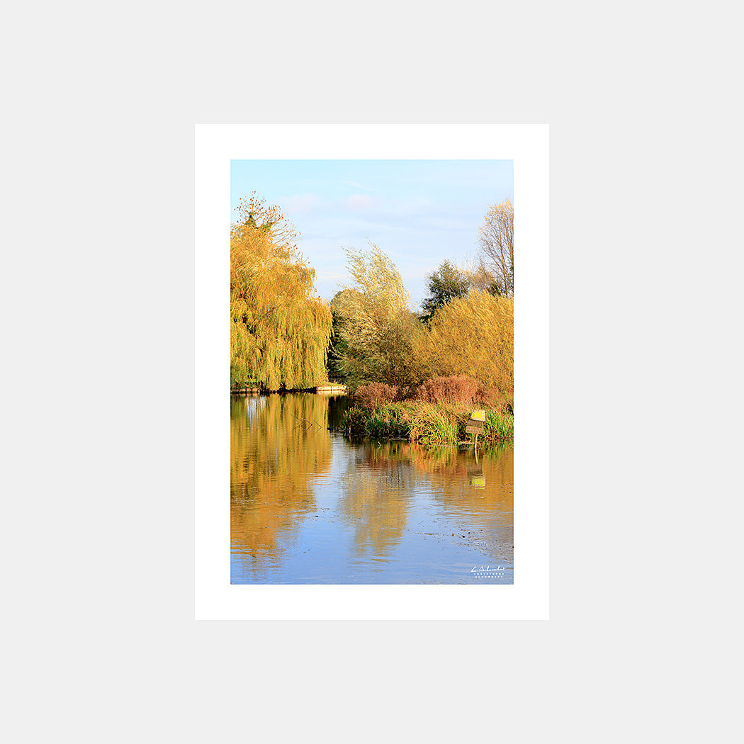 Poster photo 1719 Les marais des Hortillonnages d'Amiens en automne