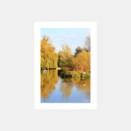 Poster photo 1719 Les marais des Hortillonnages d'Amiens en automne